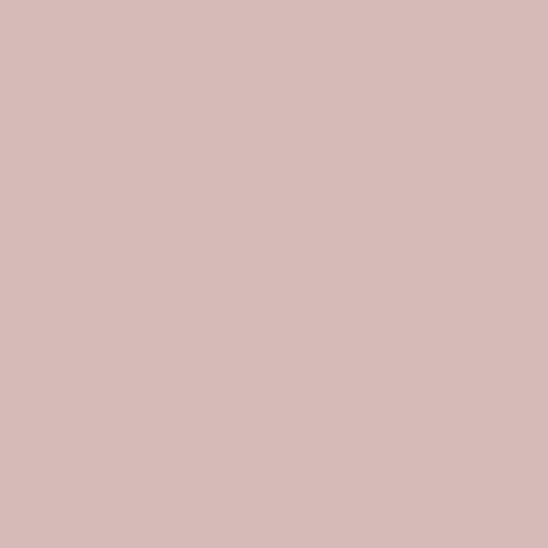 Traumlux Matt Seidenlatex Alt Rosa