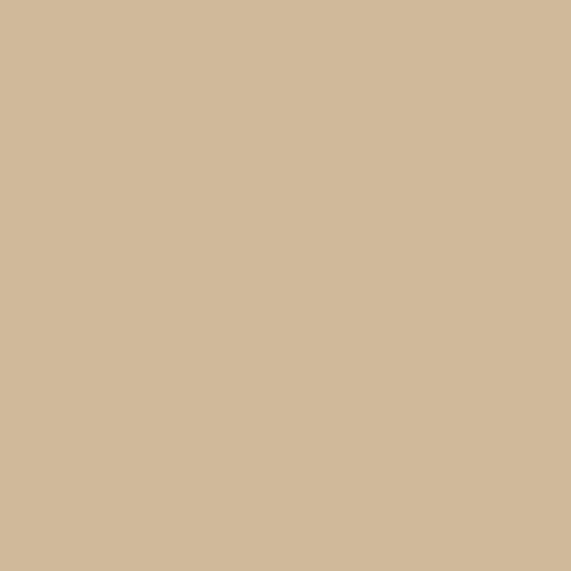 Traumlux Matt Seidenlatex Beige
