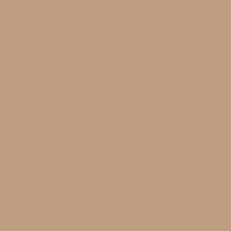 Traumlux Matt Seidenlatex Macchiato Beige
